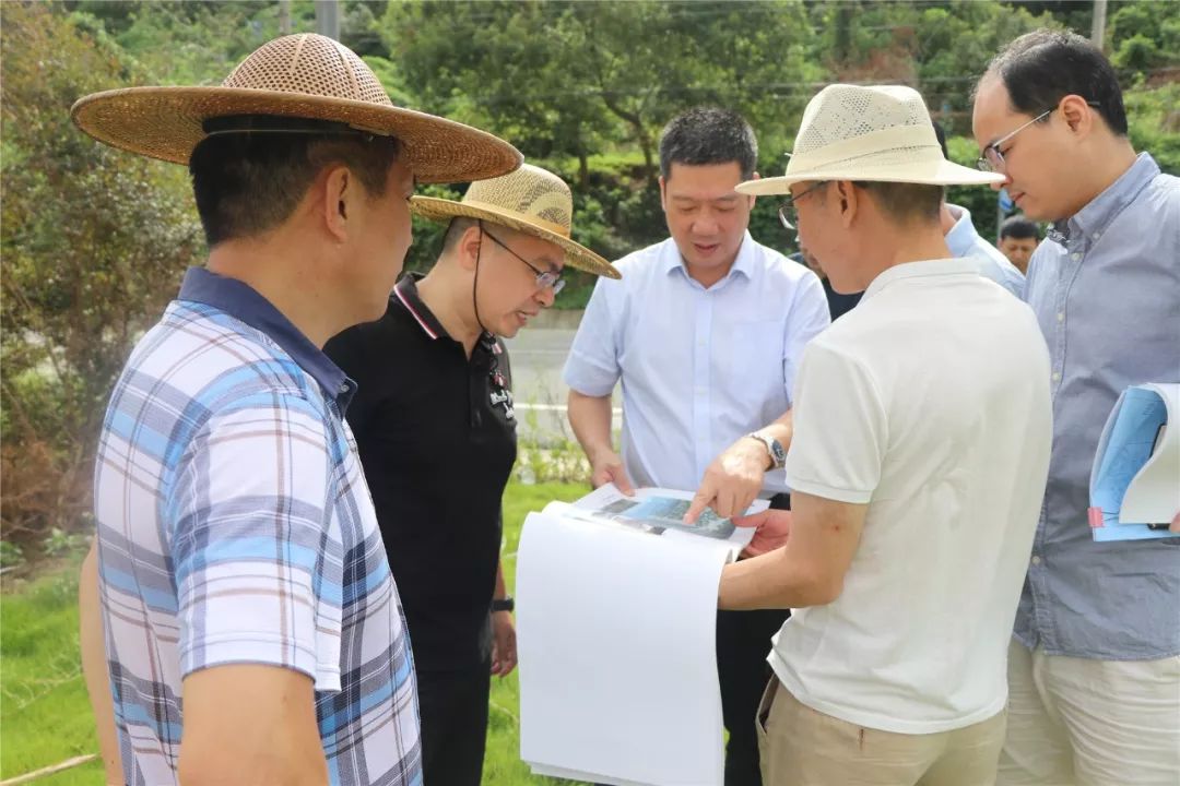 温岭住建局洪智军简介图片