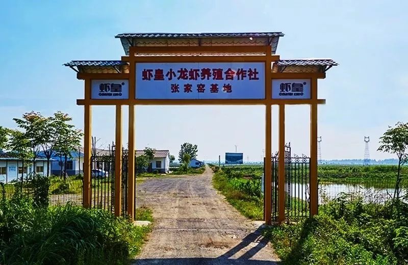 79折油焖小龙虾鼻祖跨越千百公里从小龙虾之乡潜江落户长春啦虾皇