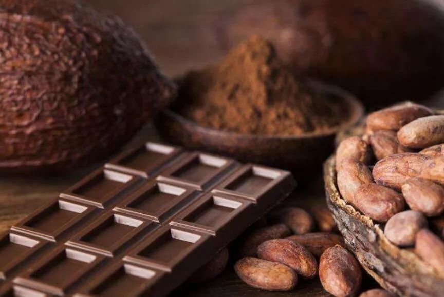 可可液块可可脂含量不低于35%巧克巧蔻选用来自比利时的优质可可豆