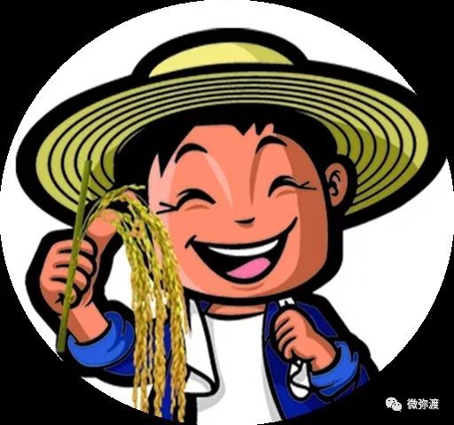 关注张县长做客政风行风热线与听众互动交流