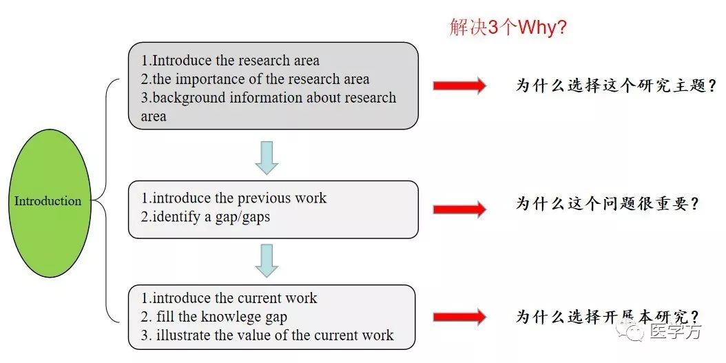 Introduction难写?送你一份实用攻略_引言
