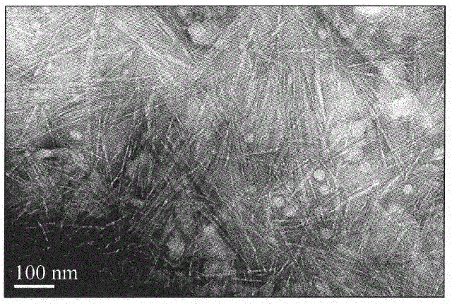 纳米纤维素多领域广泛应用安康德美化妆品全面应用纳米原料