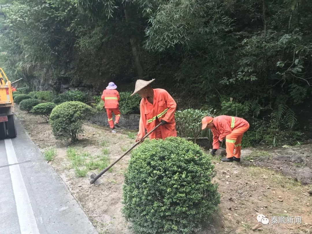 高溫堅守 | 公路綠化養護工人:用汗水澆灌城市綠色