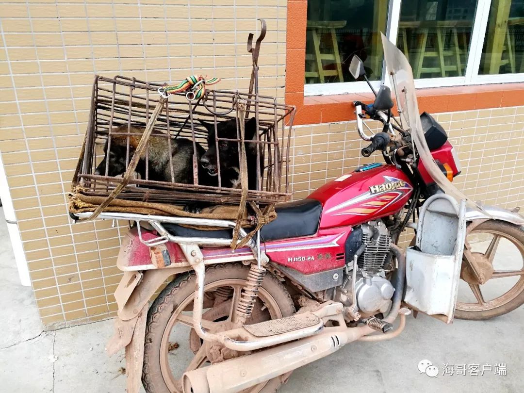 首届衡阳网络宣传奖上半年入围作品推介