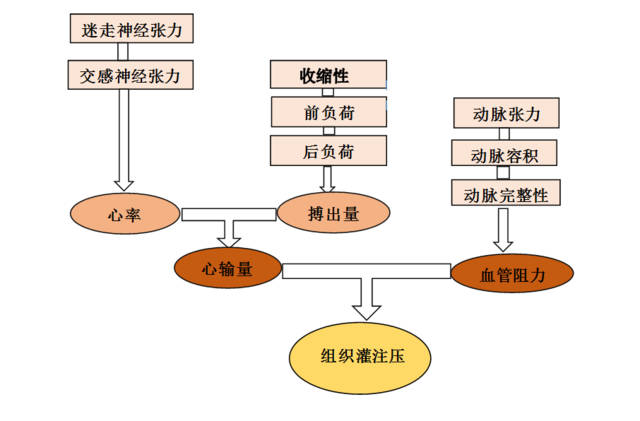 病例分享李小琴crtd术后出现心源性休克一例