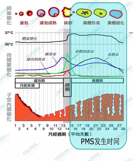 来自搜狐网