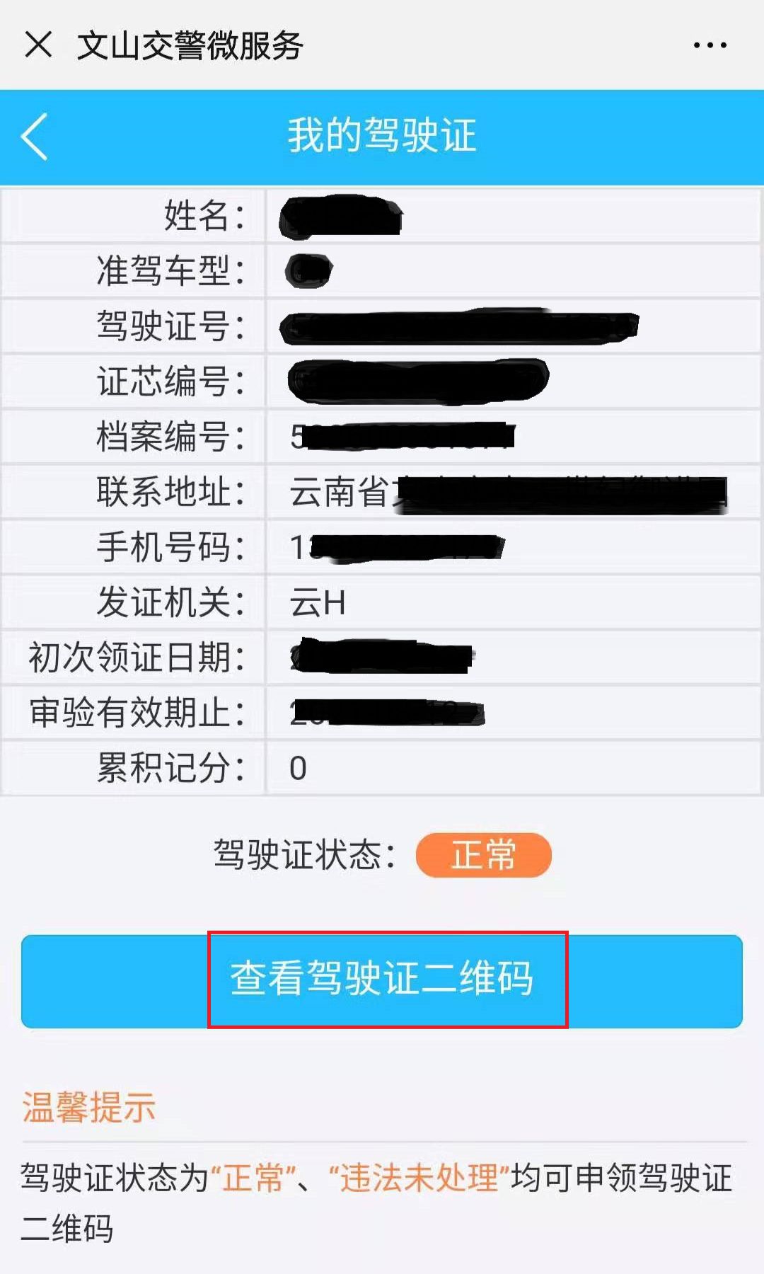 666文山人的电子版驾驶证行驶证用起来真是方便