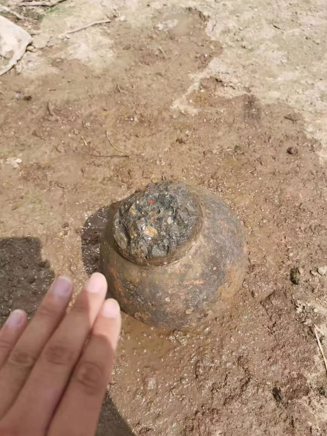 高唐周边大棚里挖出地雷民警一盆水下去竟然是