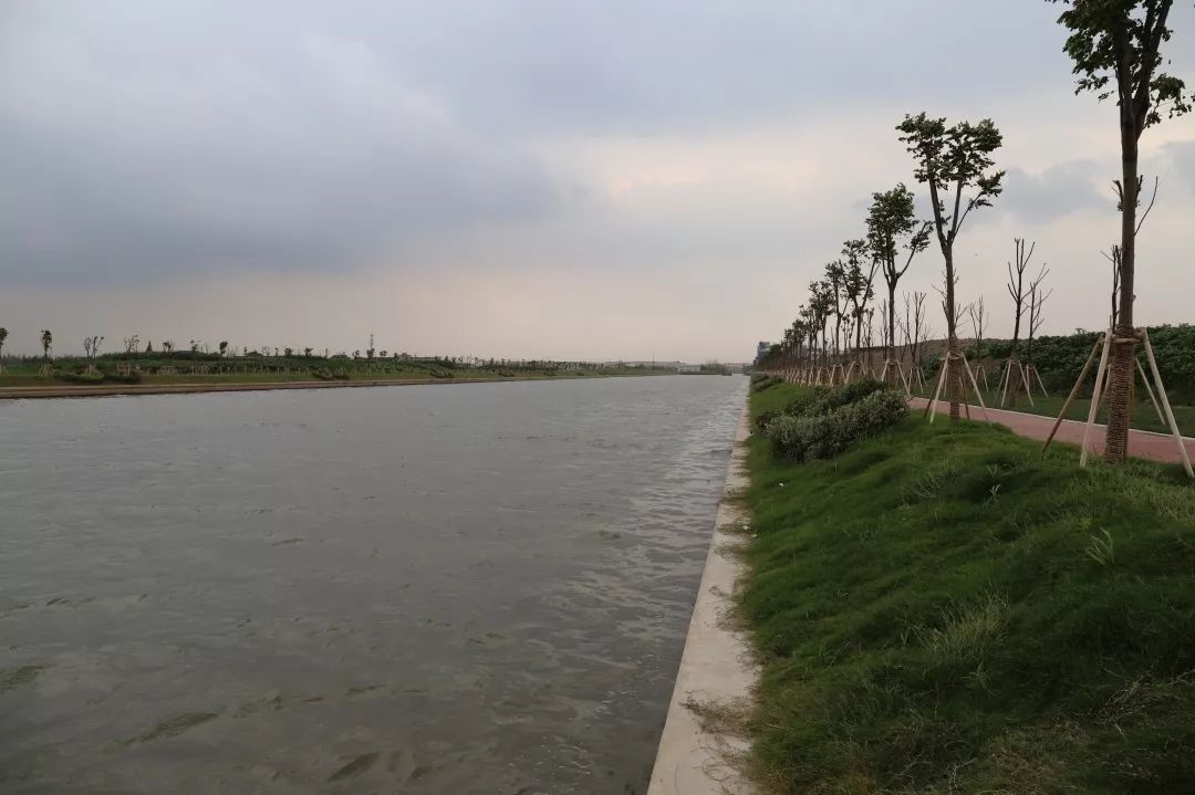 横沥河娄塘段综合整治基本竣工,再送你一条4700米沿河步道!_嘉定区