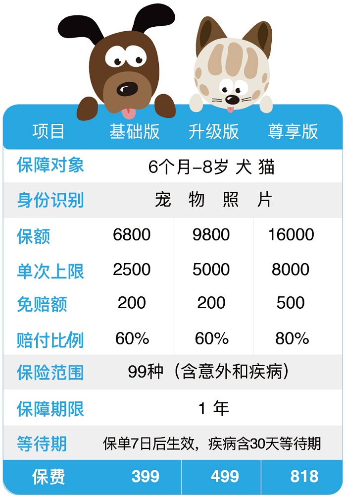 鼎立保险经纪定制宠物医疗险对抗孤独感增加安全感