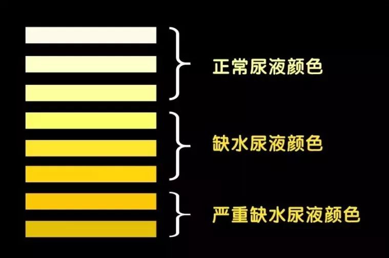 定时定量给宝宝补充水分,学会从宝宝尿液的颜色的深浅,来判断宝宝的