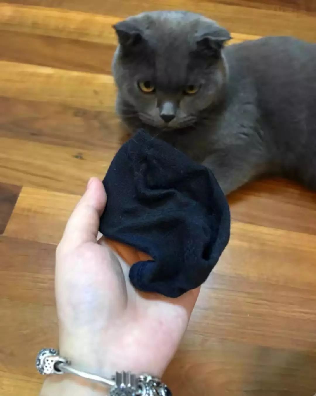 爸爸的臭袜子…5号热心观众虽然种类单一了一点,但好像…还不错4号