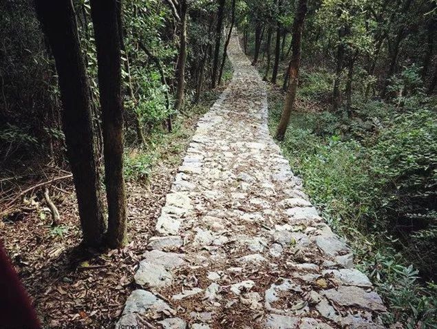 绍兴这些游步道,你走过吗?_古道