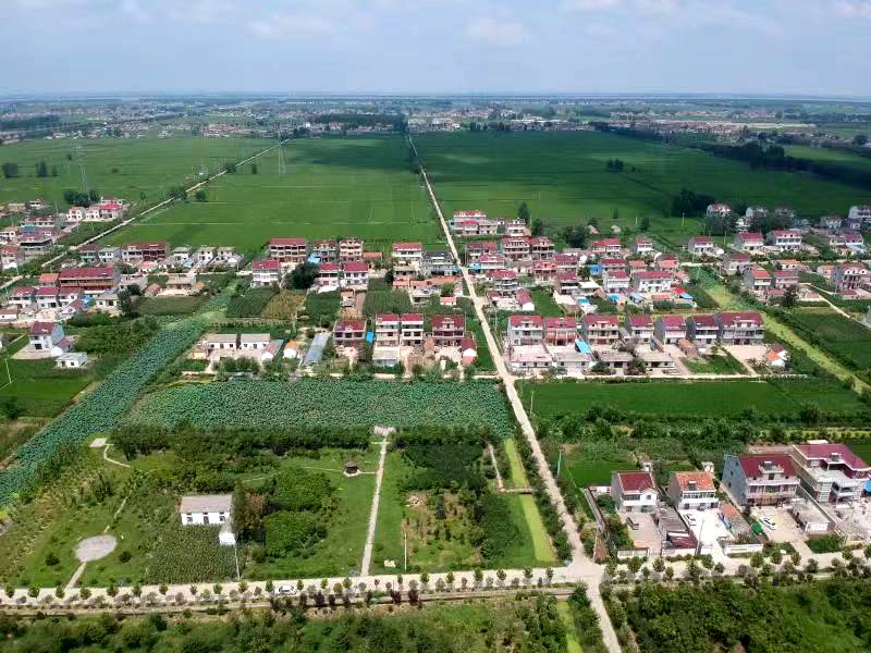 「壮丽70年 点赞新港城」航拍田楼美如画