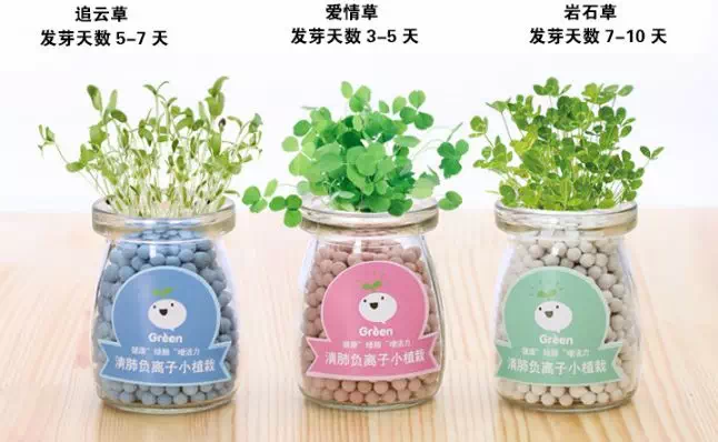 这数万粒种子终于要在衡阳人家发芽成长了.