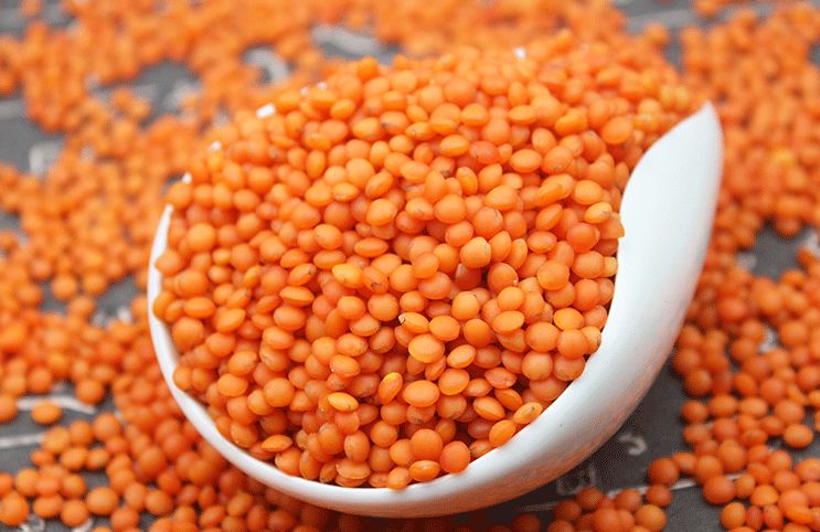 红扁豆:越小越有料,优质蛋白还补铁,素食者一定要多吃!
