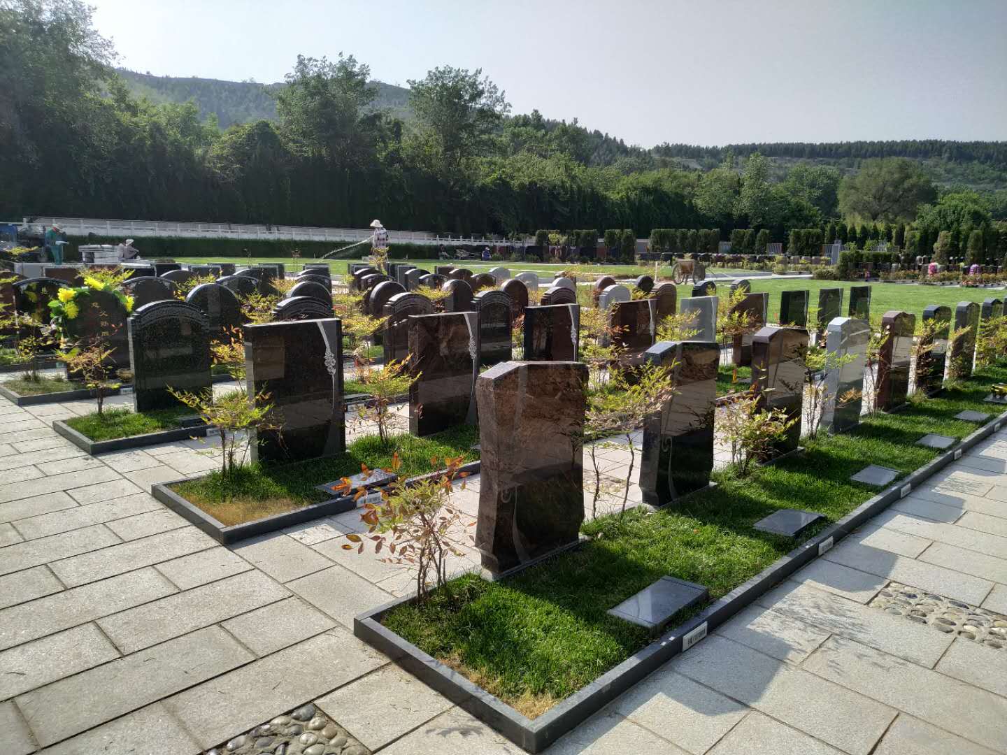 原创关于2019年出台的殡葬改革新政部分解答