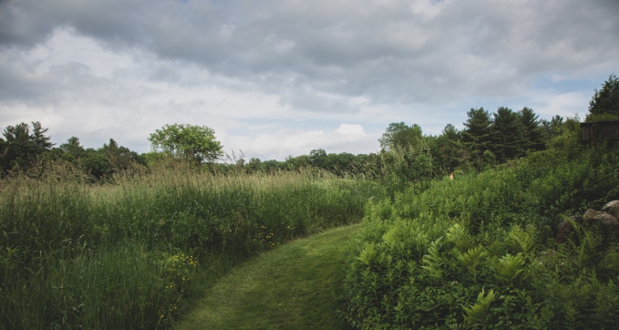 模仿式竞争“害苦”了中国家电企业 ：从低价泛滥到多品牌乱战-家电圈官网