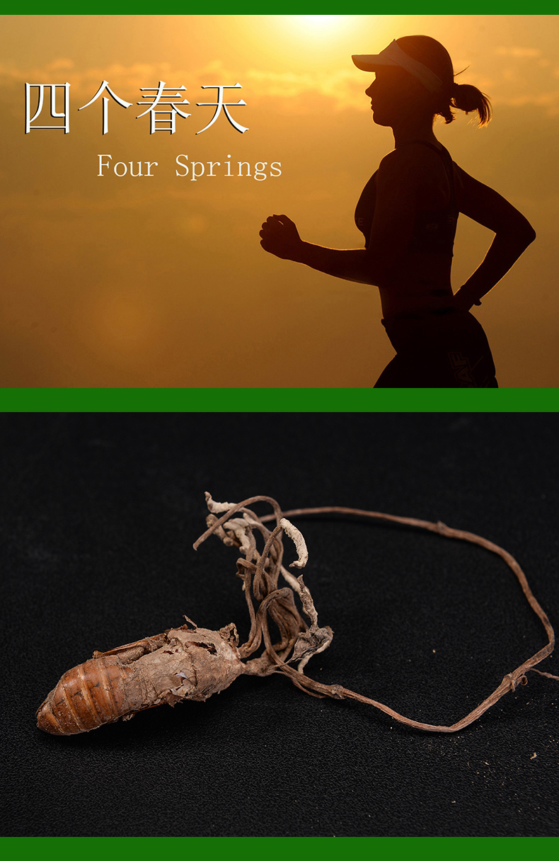 图解四个春天金蝉花土蝉花食材,如何清洗金蝉花