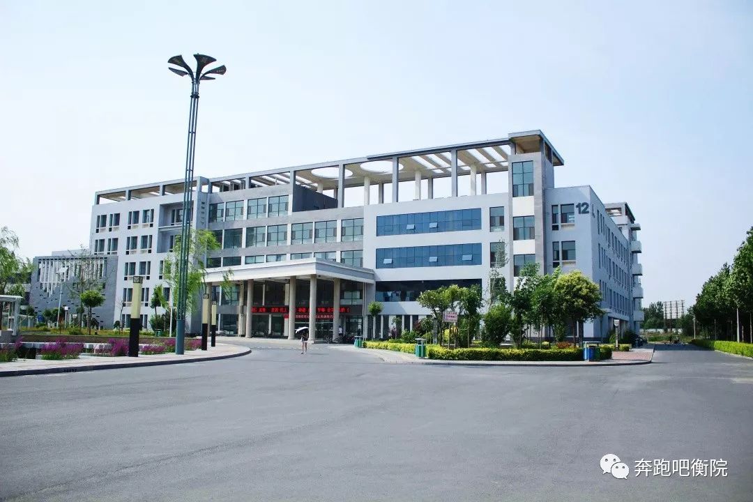 致萌新衡水学院的那些