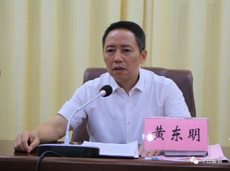 覃仕平总结了上半年藤县各项工作开展情况.
