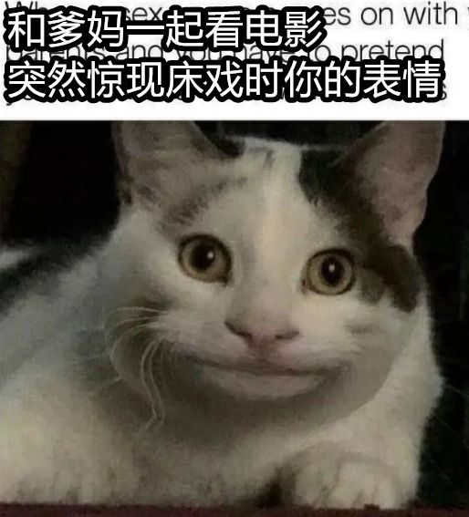 这个著名表情包的主人公,其实是国外的一只猫咪名叫ollie.