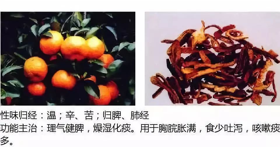 莎草根,三棱草根香橼别名:钩橼子,香橼柑薤白别名:薤根,薤白头消食药
