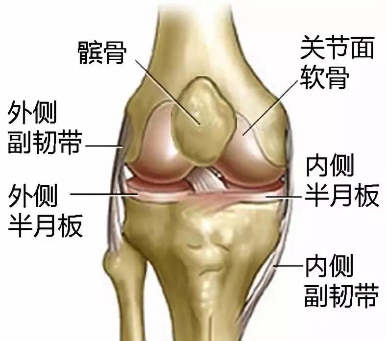 當心運動造成髕骨移位