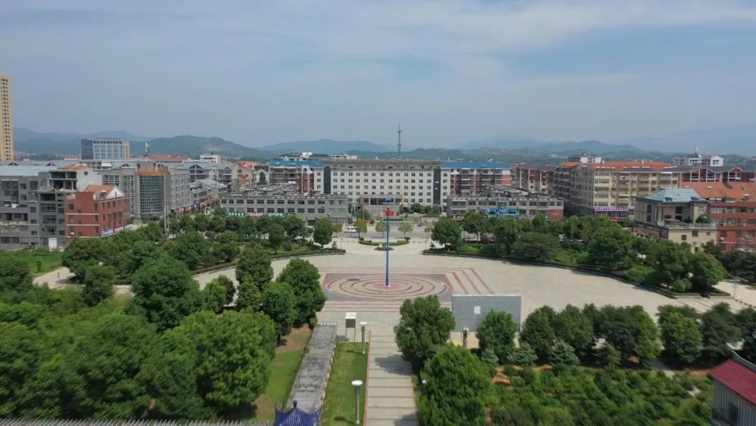 优化营商环境在行动花桥镇店小二让企业感受保姆式服务