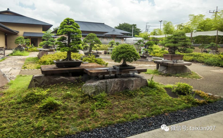 开个盆景园这些风险你知道吗