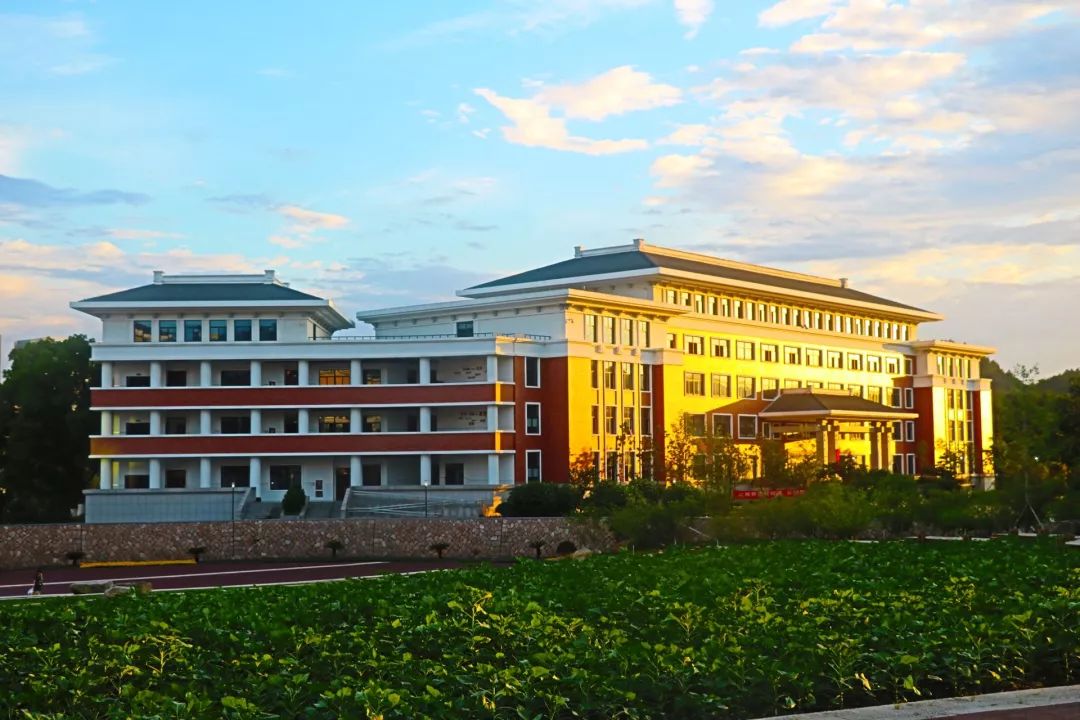 树木寻友电访篇母校感恩有你思念有你