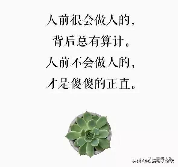 真真假假的人心的句子图片