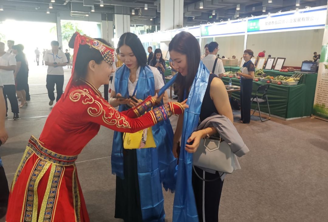 扎赉特人才网引领就业新风向