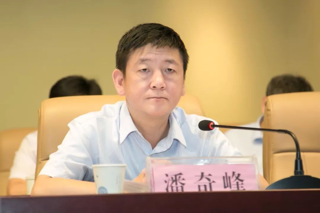 县委副书记潘奇峰主持会议.