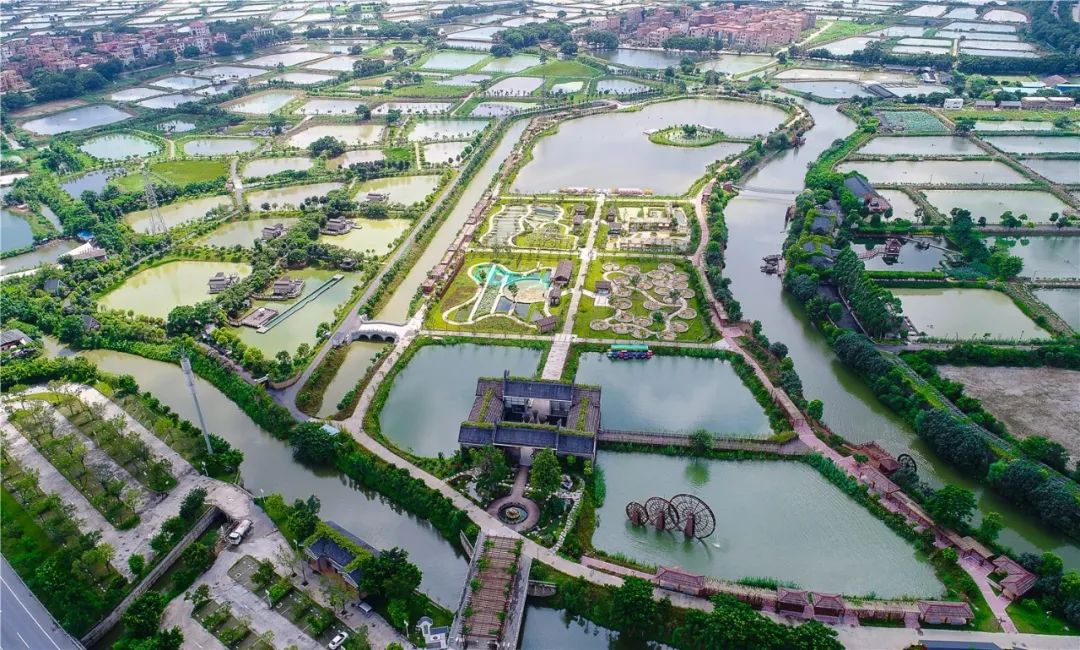 世间少有美景西樵万亩桑基鱼塘片区申报国家重要农业文化遗产