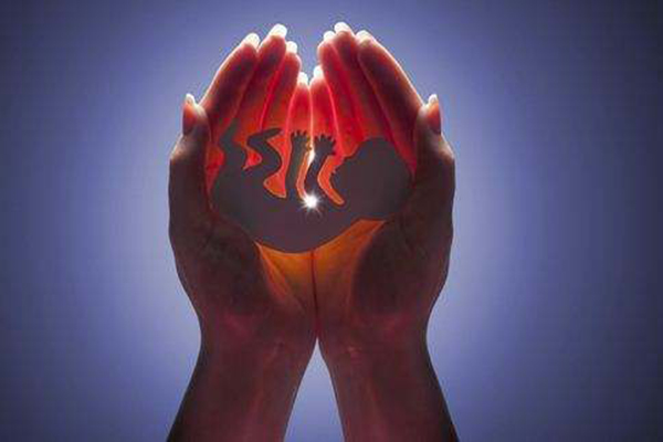 怀孕40天胎儿有多大