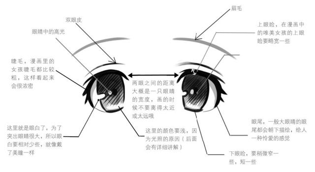 畫好女性眼睛其實你只需要掌握這些繪畫技巧