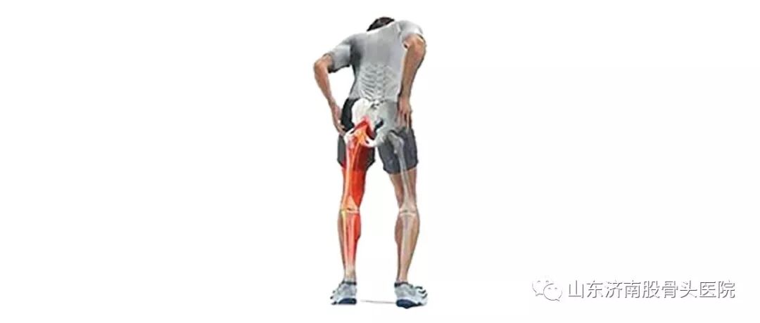 股骨头坏死为什么大腿内侧会疼痛