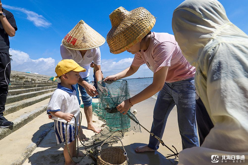 免费赶海挖螺 拉地笼 抓螃蟹……百万豪车接送!_北海