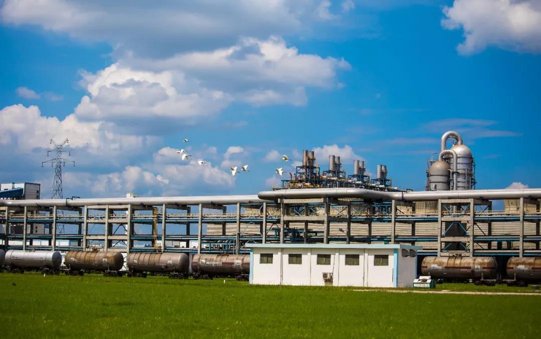 青山北湖产业园打造湿地化工园区的中国典范