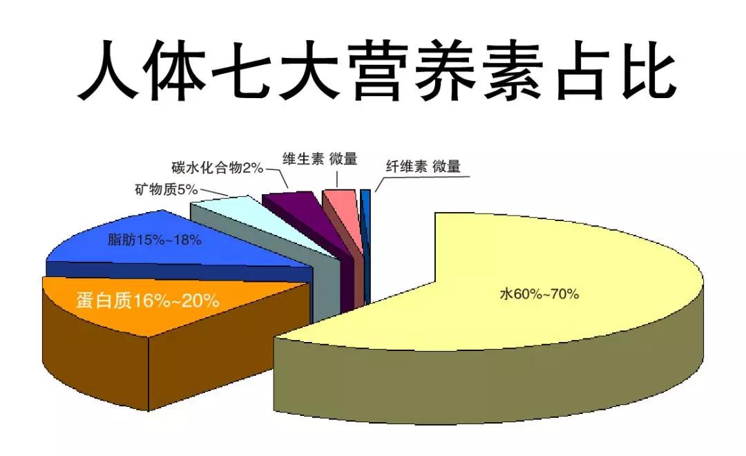 益缘生 ▏学会"细胞"养护,才是健康的开始_营养素
