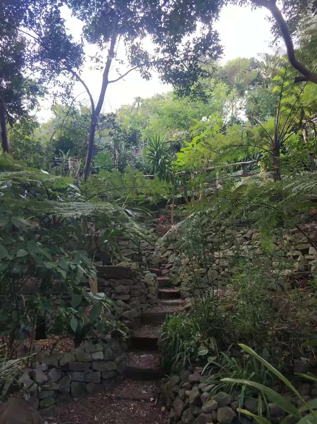 在陰雨天想念晴天