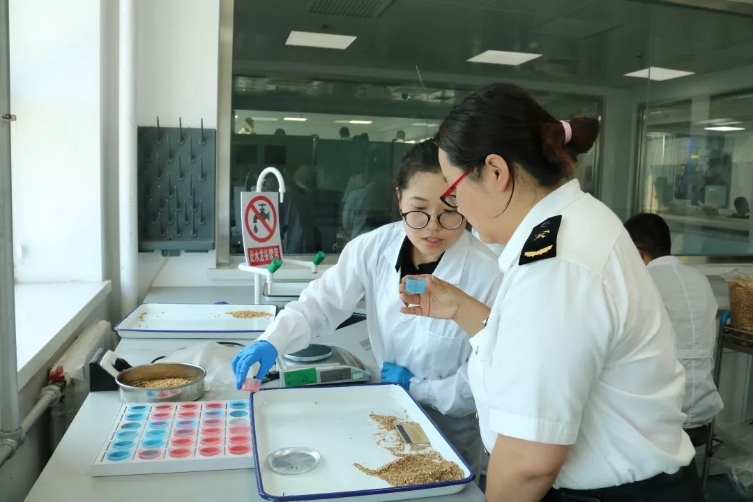 植物检疫制服图片图片