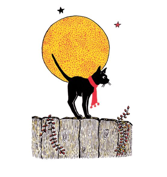 书评|《黑猫珍妮》:自在欢愉地诠释成长的真谛