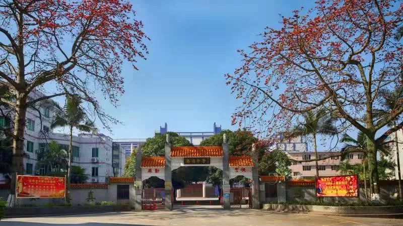 招聘佛冈中学招聘老师啦想当老师的戳进来