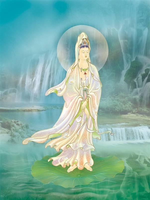 唐朝有位法号为"善导"的大师,潜心修佛,十九年闭关不出,一日,善导静坐