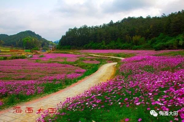 大田新增一個3a級旅遊景區共5個