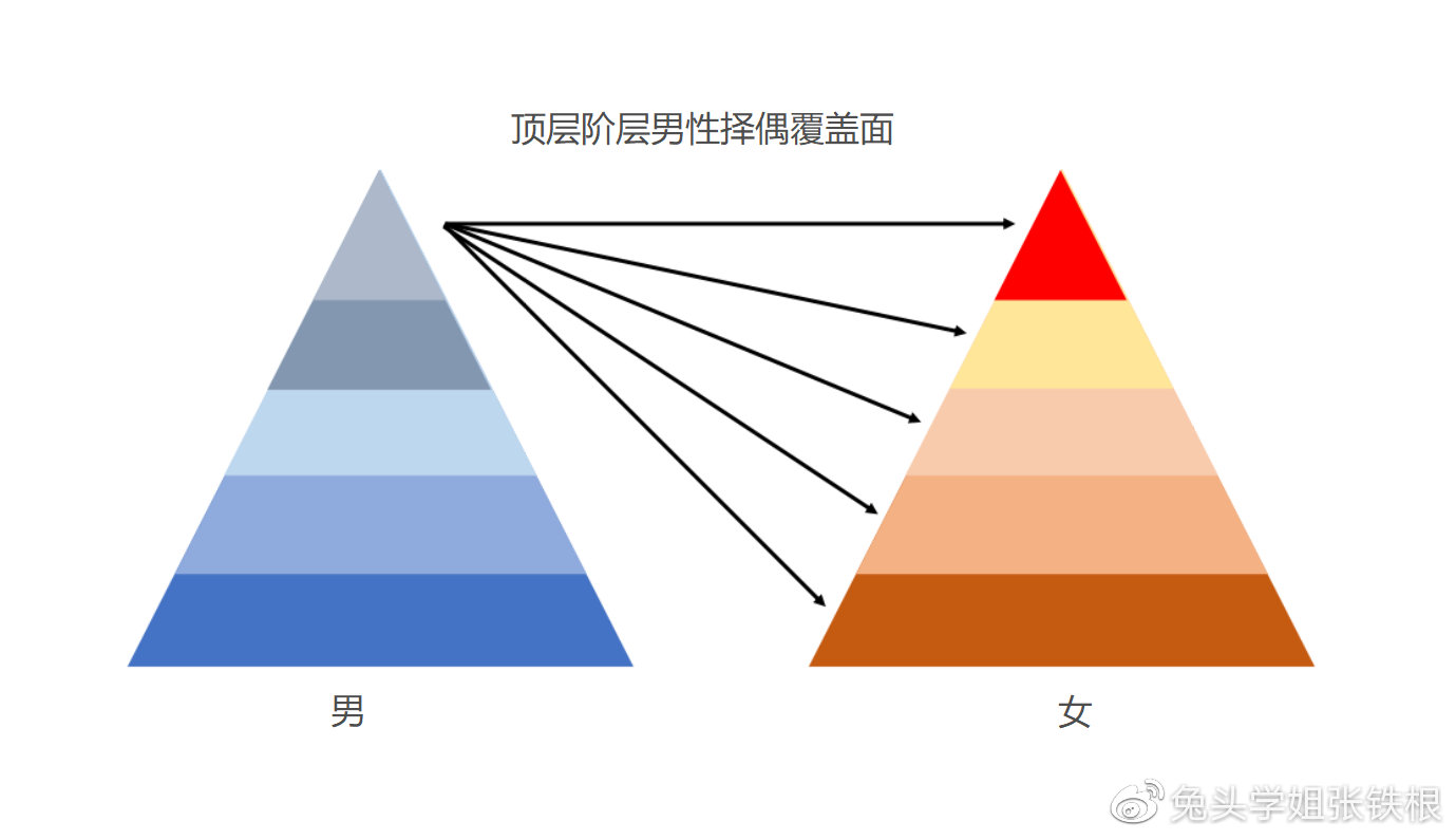 结婚率创新低关你们拳师什么事