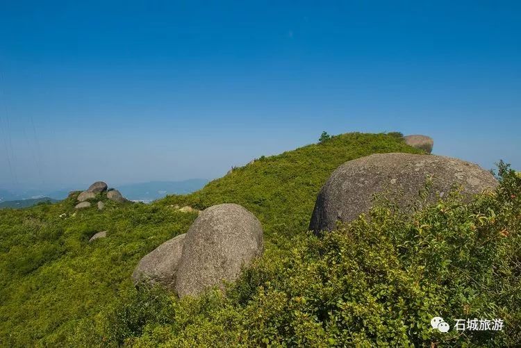 石城小松仙桃景区图片