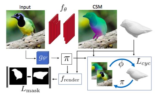泡泡点云时空利用几何的循环一致性学习2d表面到3d模板的映射关系